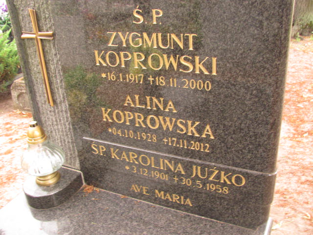 Zygmunt Koprowski 1917 Stare Kurowo - Grobonet - Wyszukiwarka osób pochowanych