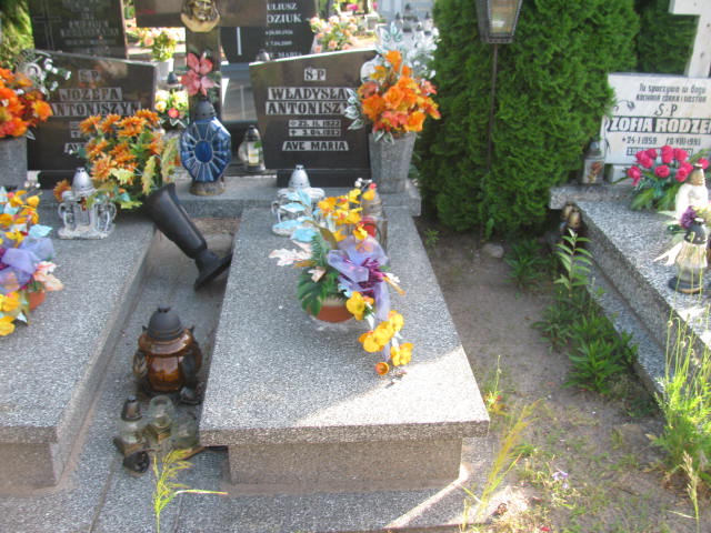 Grób Władysław Antoniszyn